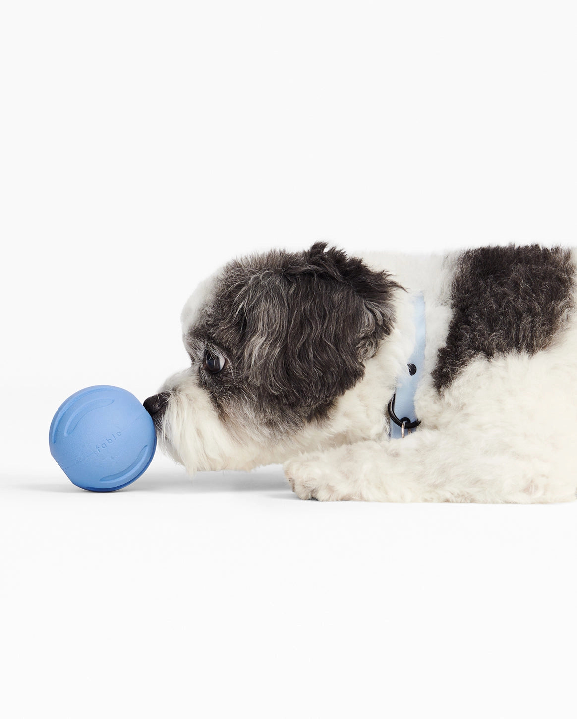 Blauwe bal