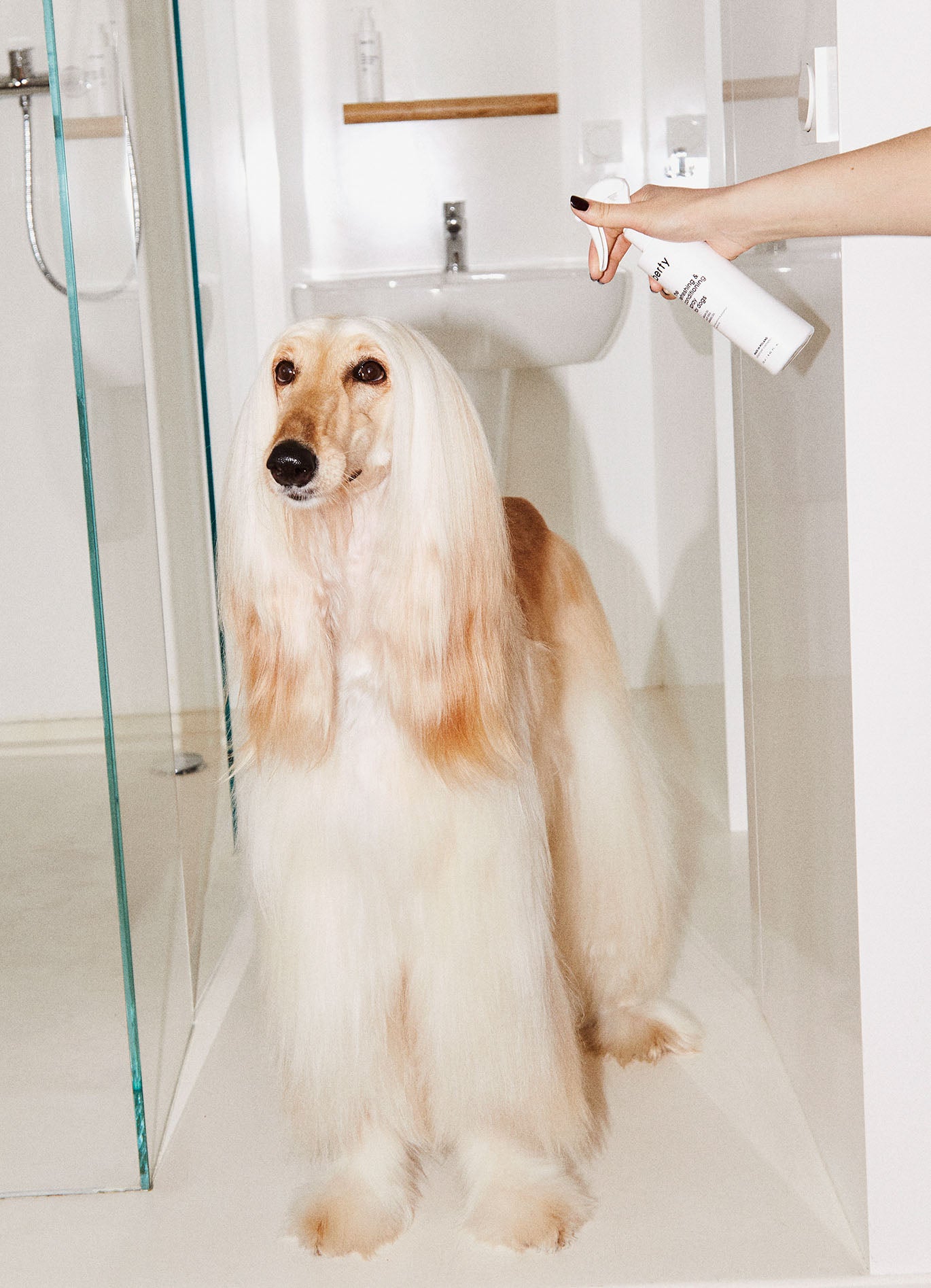 Refreshing & conditioning spray for dogs