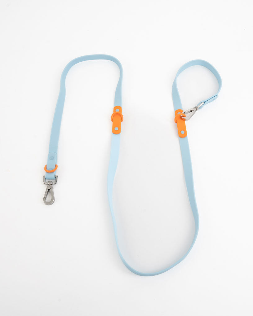 Leash in baby blue & orange