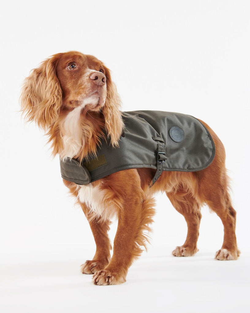 Barbour wax dog coat