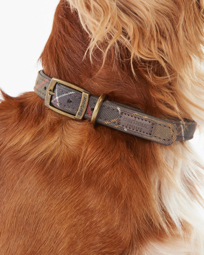 Barbour tartan dog collar