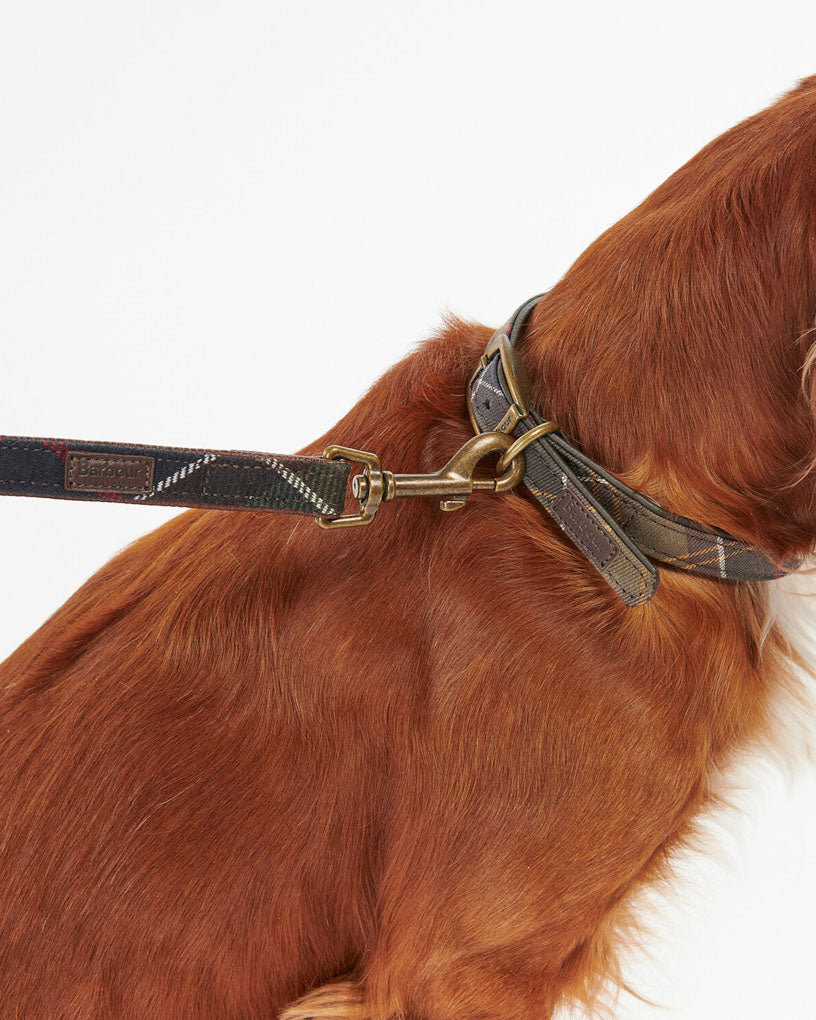 Barbour tartan dog leash
