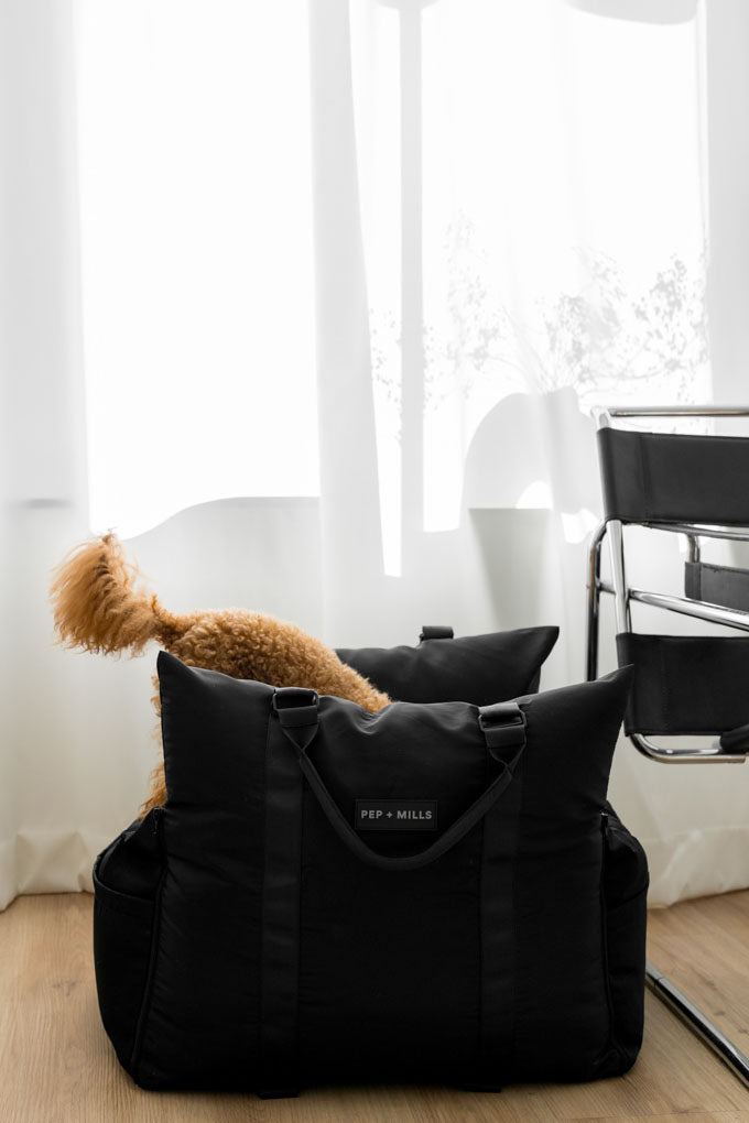 The Jet Setter car seat