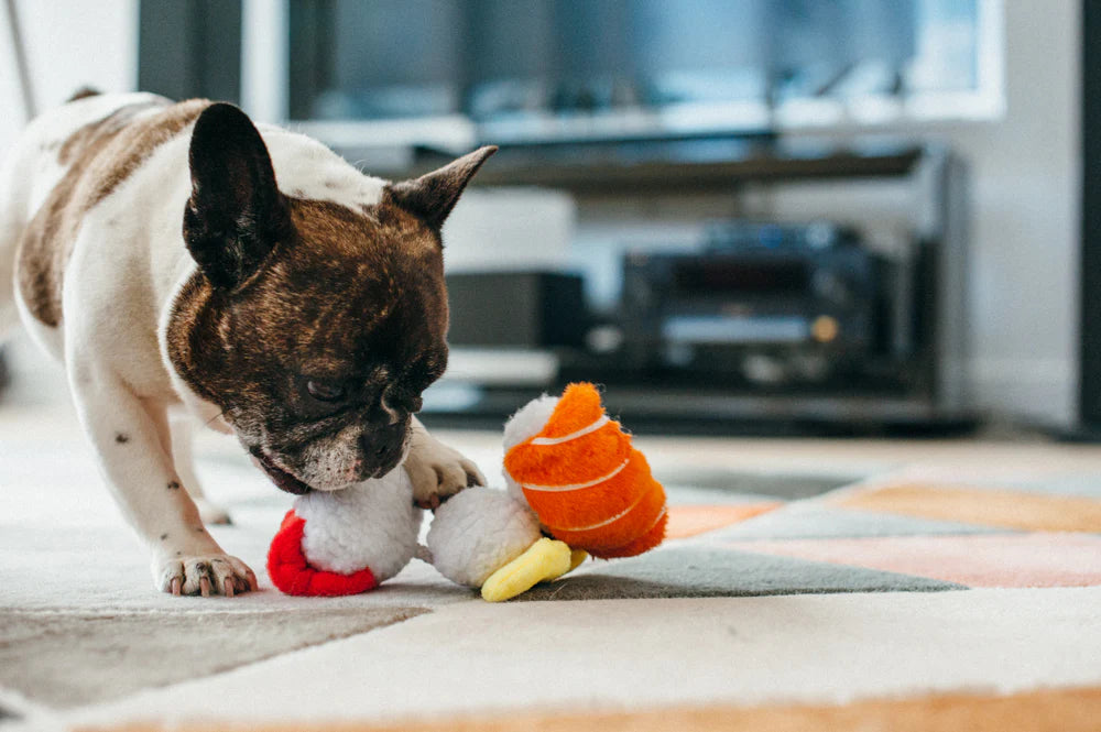 Sushi Toy