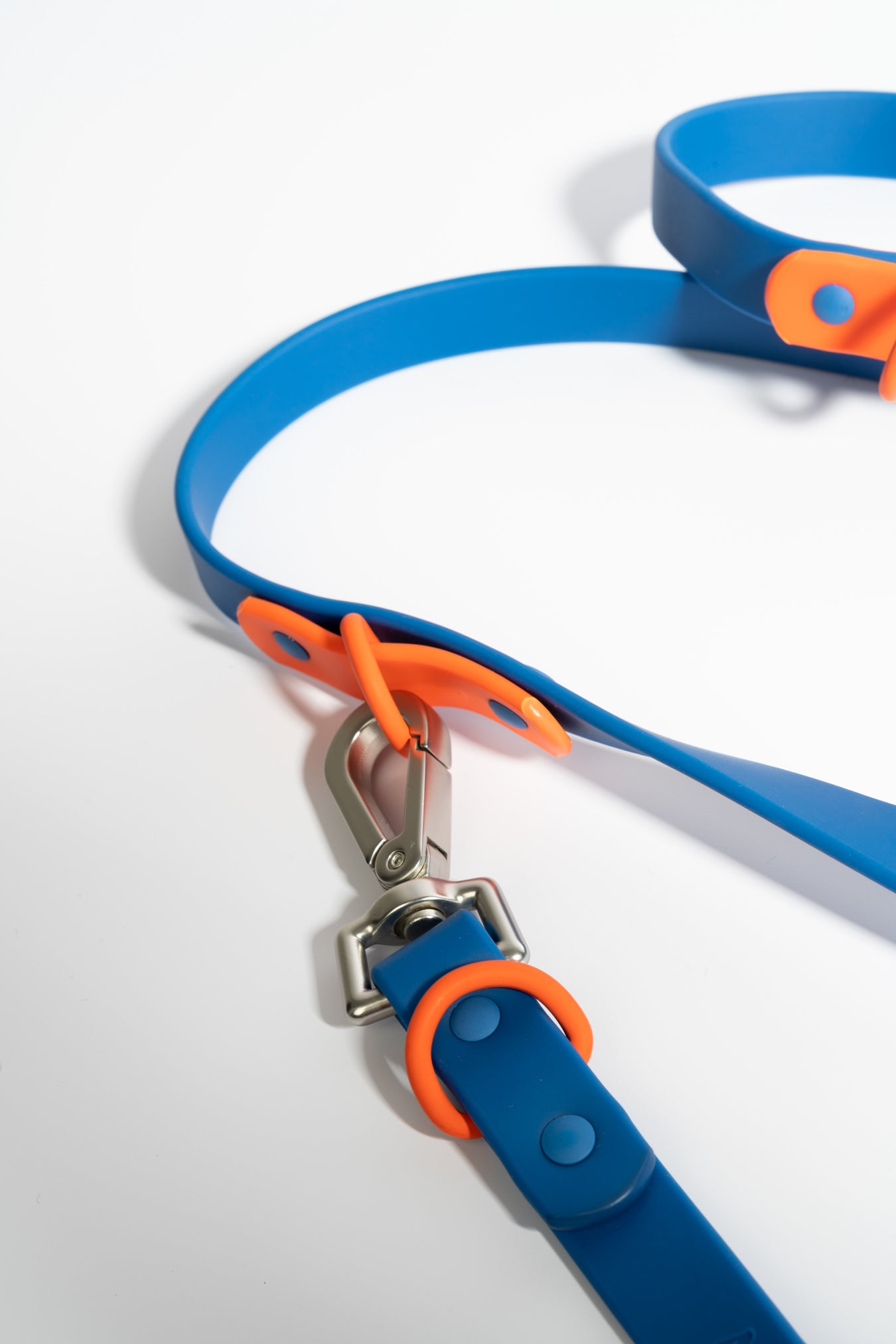 Leash in blue & red