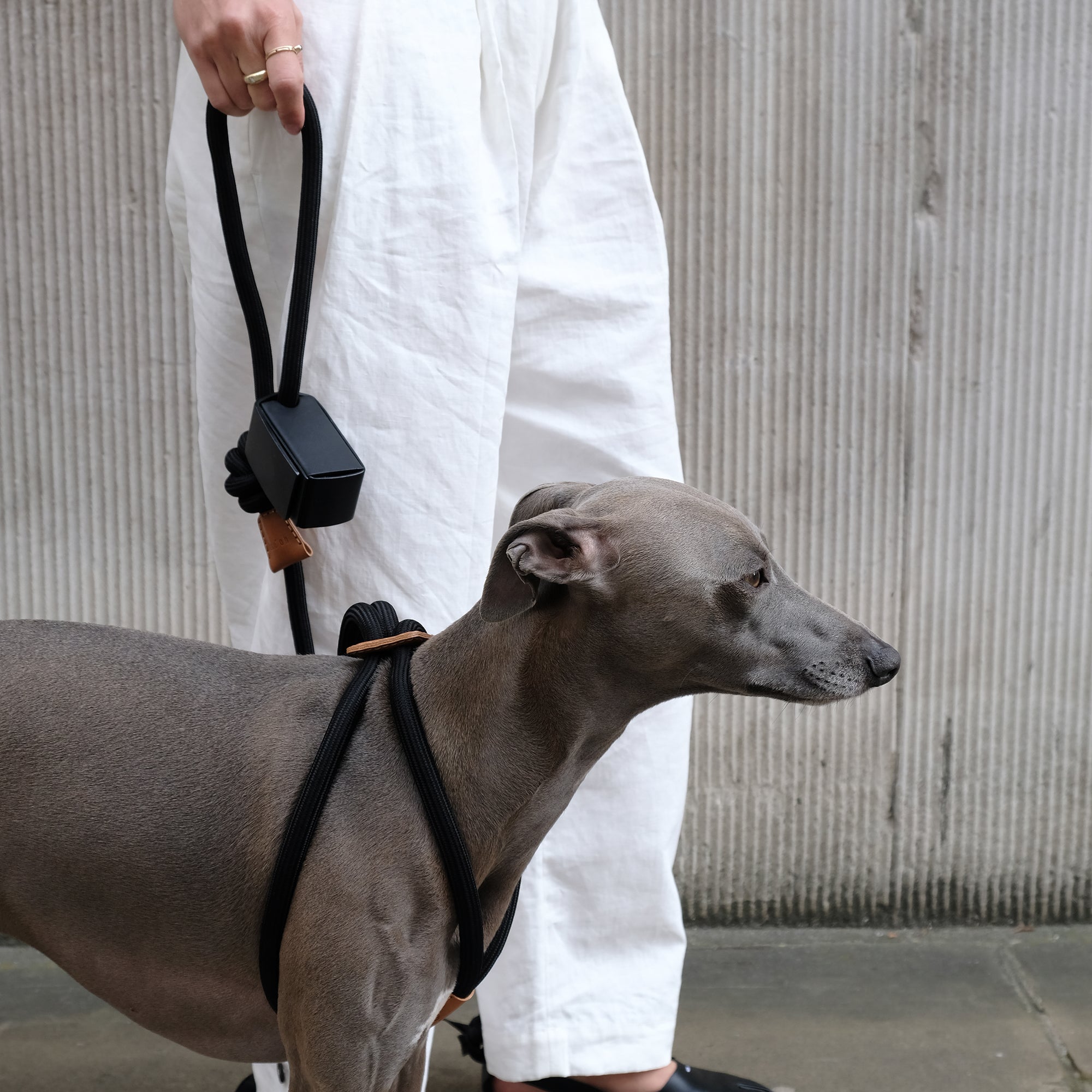 Ray Harness by Boo Oh in black