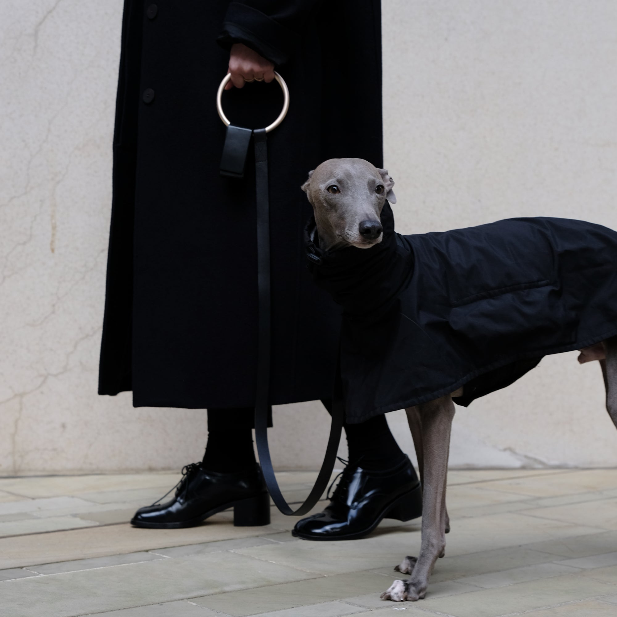 Lumi leash by Boo Oh in black + gold