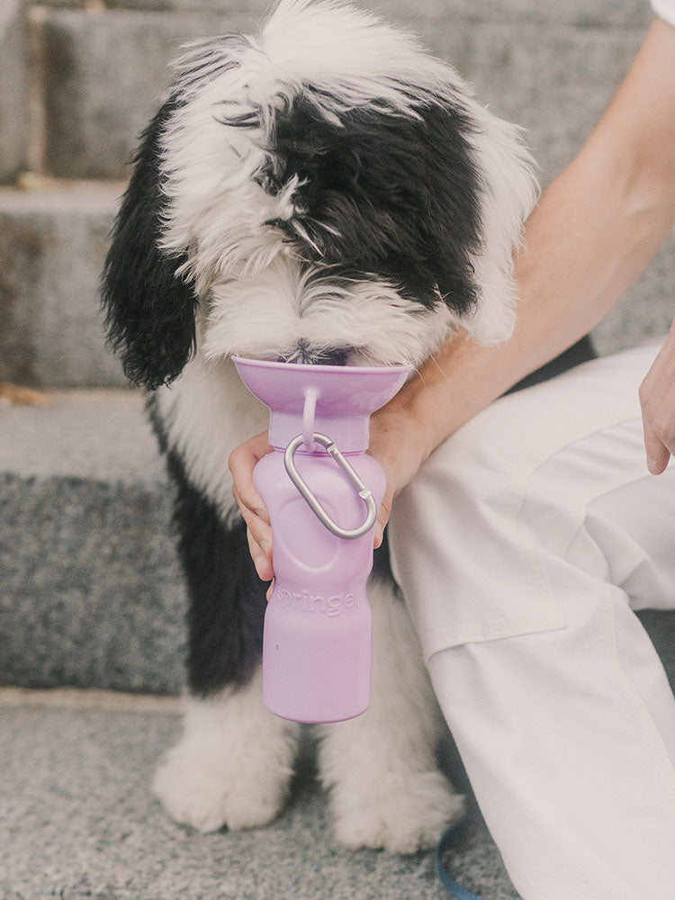 Classic travel bottle in lilac