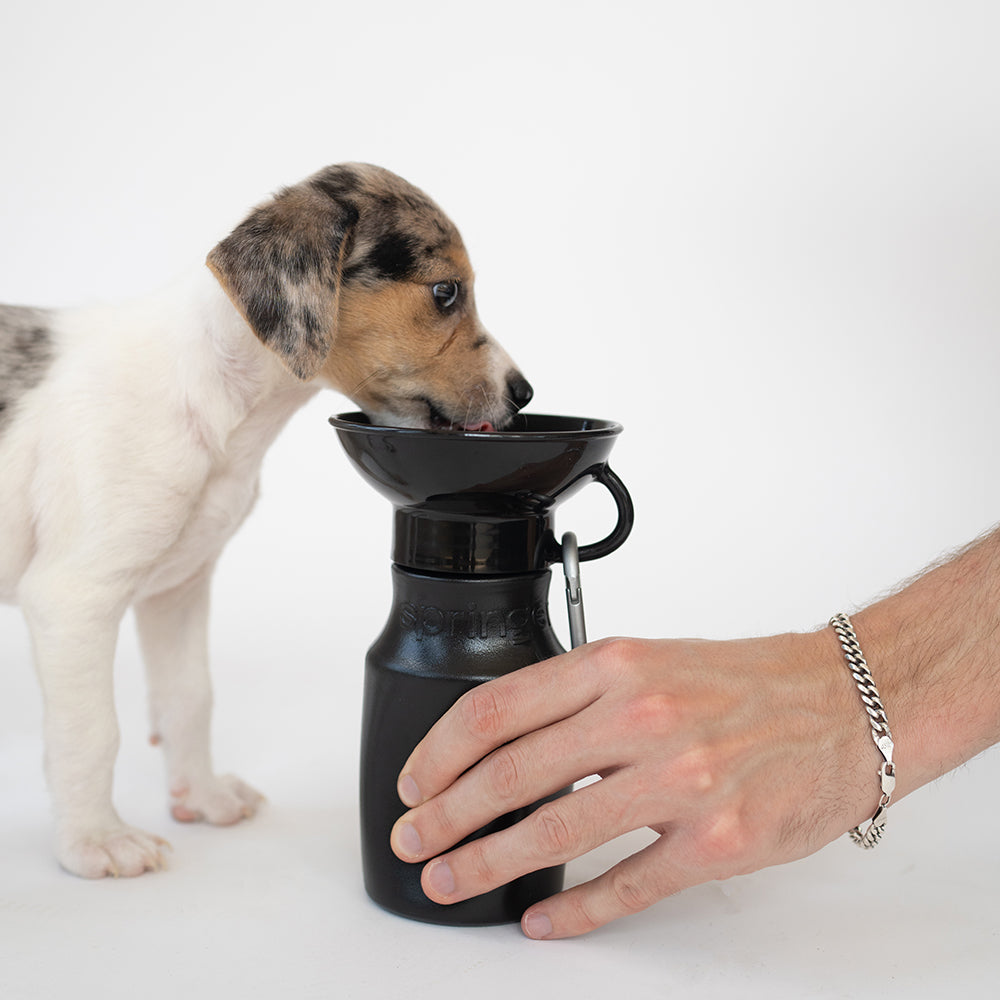 Mini travel bottle in black