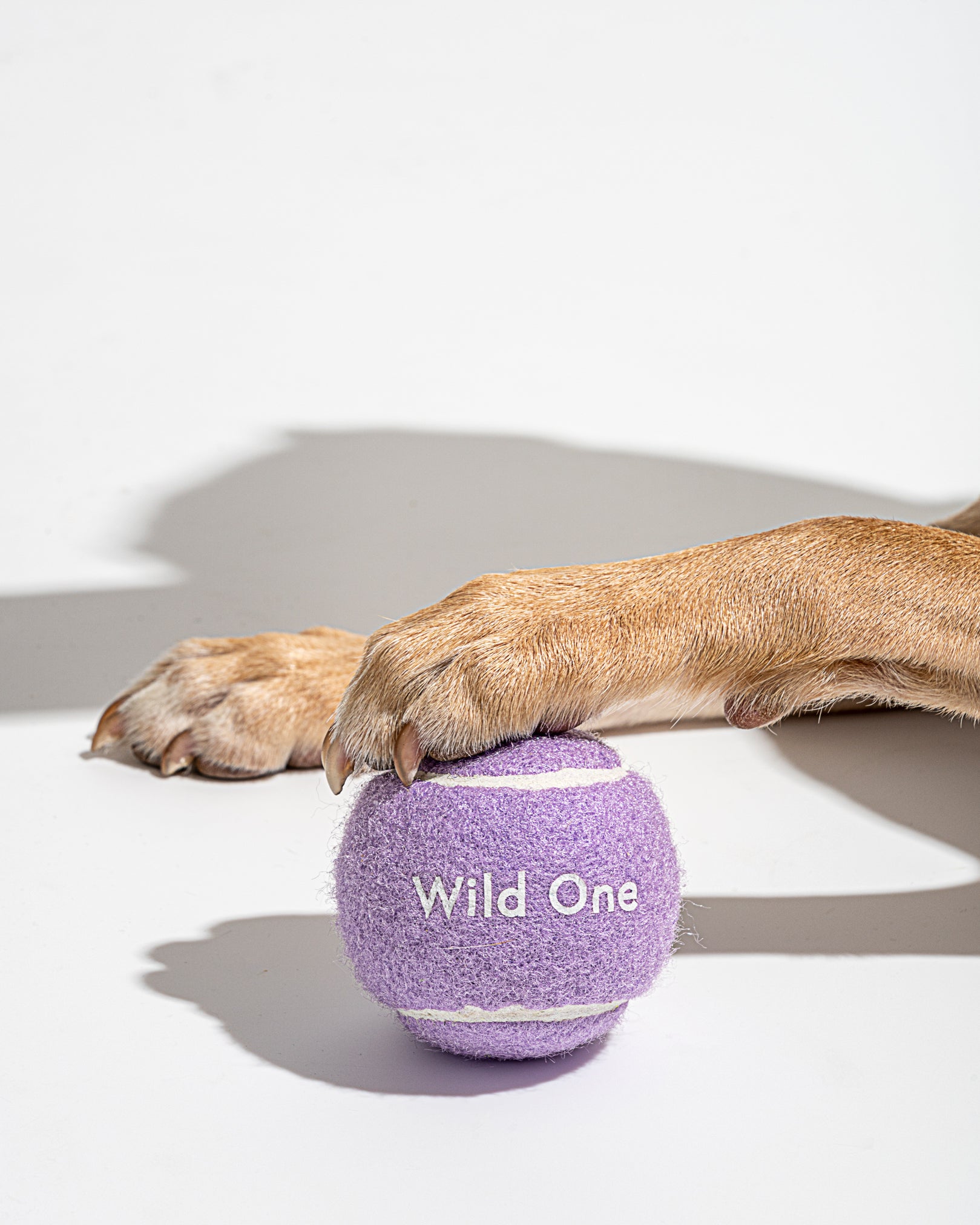 Tennis balls in lilac