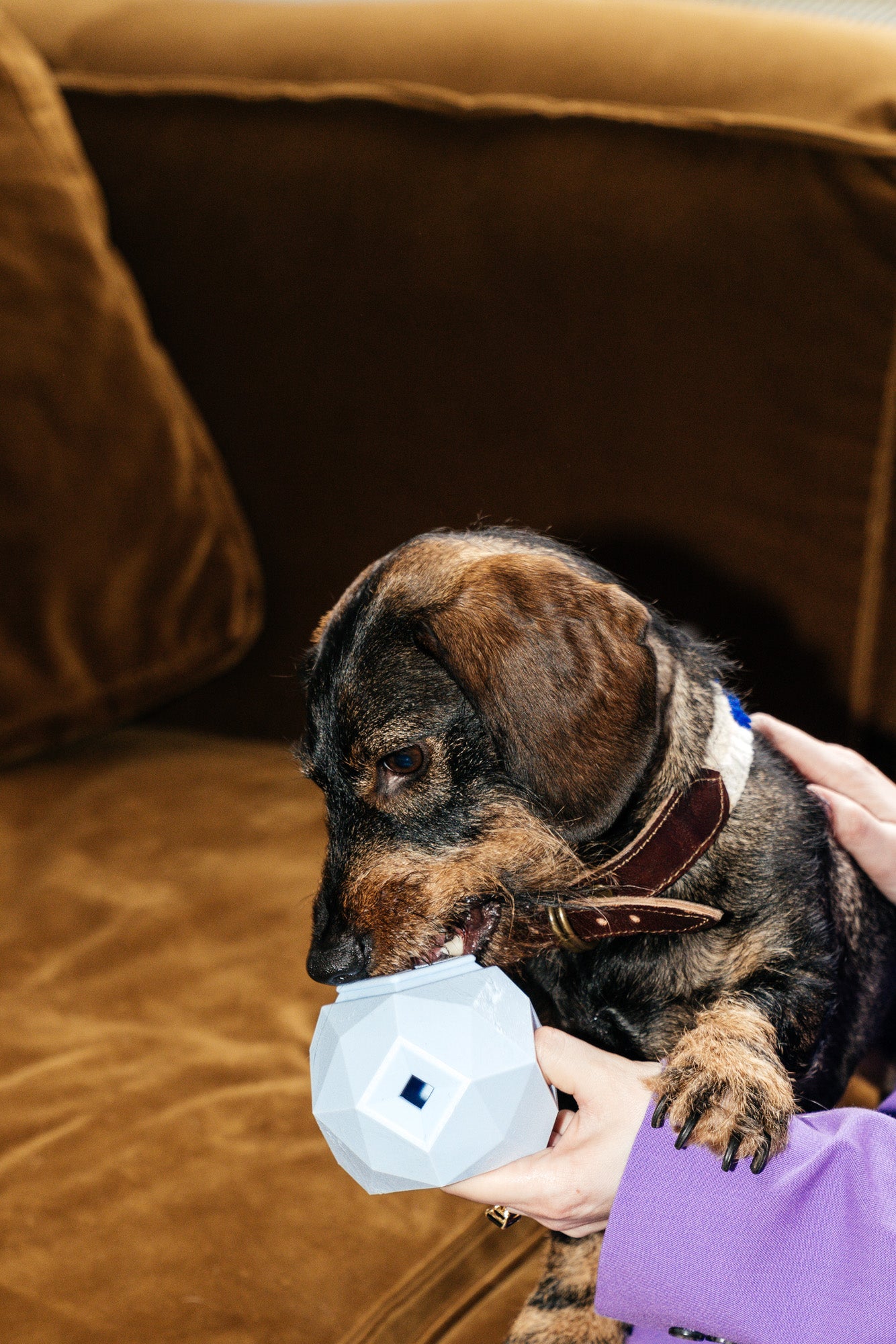 Odin Toy in powder Blue