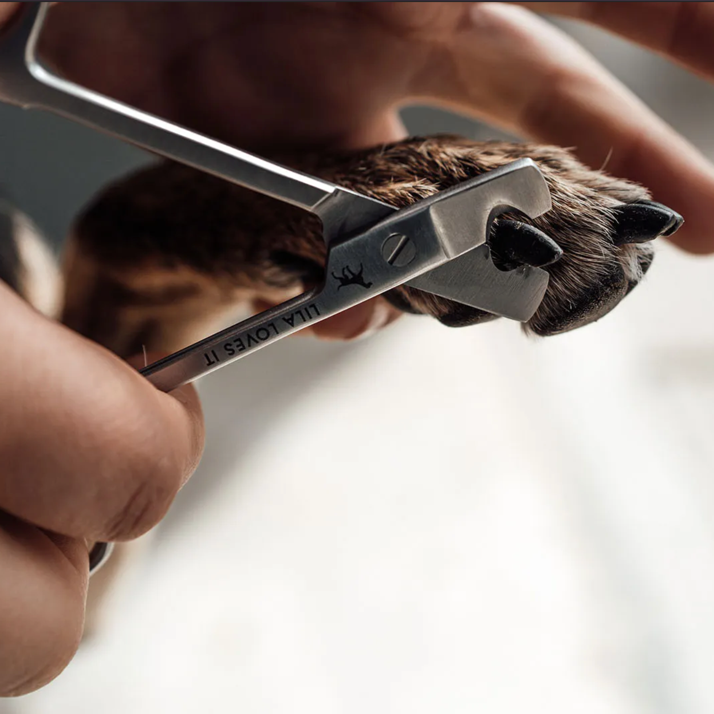 Nail Scissors
